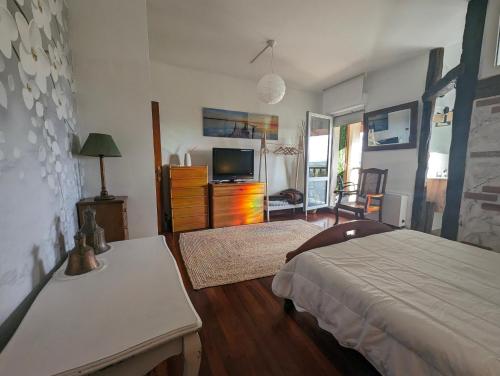 a bedroom with a bed and a television in it at Casa Rural Bilbao Caserio Gondra Alquiler Habitaciones in Mungia
