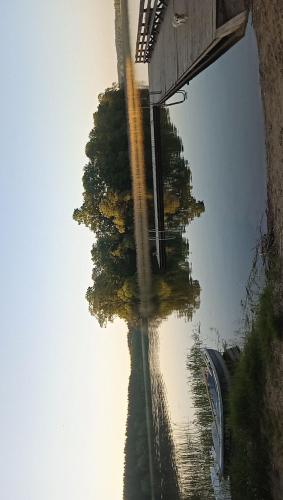 a reflection of a tree in a body of water at Kameralny Odpoczynek Nad Jeziorem in Bogaczewo