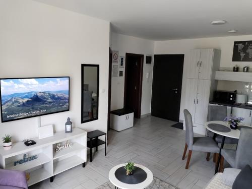 a living room with a tv on a wall at Apartman 3N in Veliko Gradište