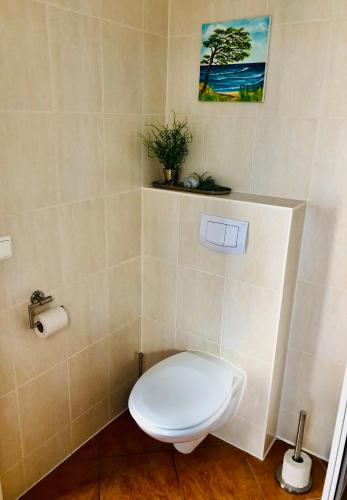 a bathroom with a toilet with a plant on the wall at OstseeFreiheit in Bodstedt