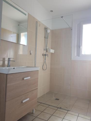 une salle de bain avec une douche avec un lavabo et un miroir dans l'établissement Villa Magis, à Vendays-Montalivet