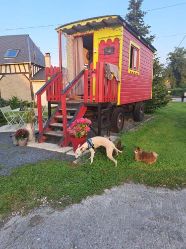 un cane e un gatto sdraiati sull'erba accanto a una casetta da gioco di Le relais de la Charreterie a Heurteauville
