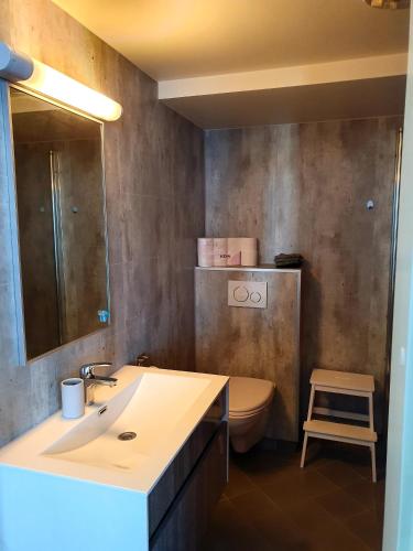 a bathroom with a sink and a toilet and a mirror at Kabelvåg Apartment in Kabelvåg
