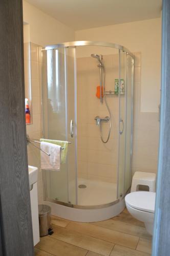 a bathroom with a shower with a toilet and a sink at Romantická chalupa na laze in Ostrý Grúň