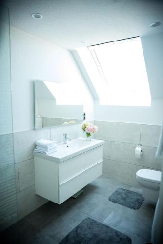 a bathroom with a sink and a mirror and a toilet at Terrassenwohnung mit Gartenblick in Solingen
