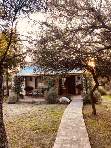 a walkway in front of a house at Mylau in Los Molles