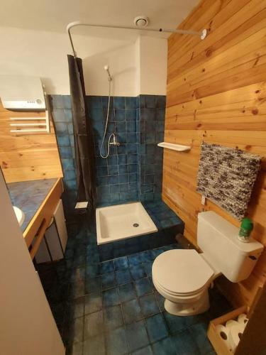 La salle de bains en bois est pourvue de toilettes et d'une douche. dans l'établissement Studio cosy à la station, à Eaux-Bonnes