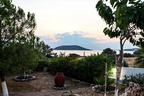 Foto dalla galleria di morfo's sunset a Sounio