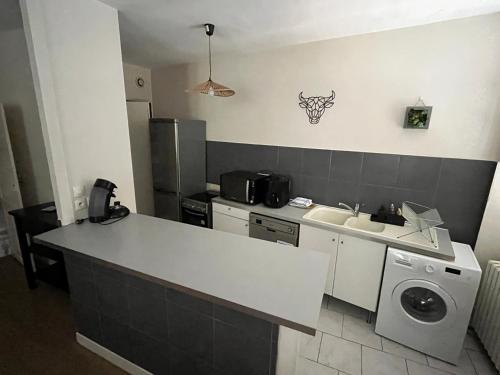 une cuisine avec un évier et une machine à laver dans l'établissement Appartement centre ville Charolles, à Charolles