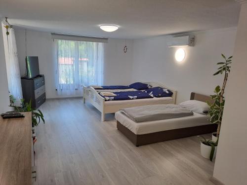 a bedroom with two beds and a television in it at Rózsakert Apartman in Zalaszentgrót