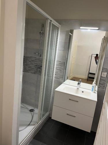 une salle de bain avec un lavabo blanc et une douche dans l'établissement Appartement centre ville Charolles, à Charolles