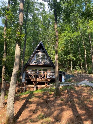 a log cabin in the middle of a forest at Planinska vila KTM Lisine in Despotovac