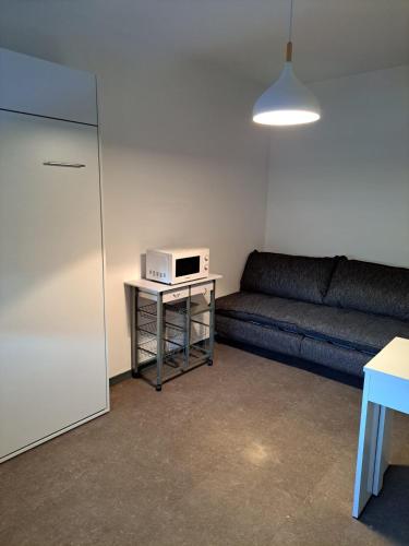 - un salon avec un canapé et un four micro-ondes dans l'établissement Joli Studio proche funiculaire, à Bourg-Saint-Maurice