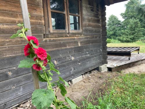 Fotografie z fotogalerie ubytování Domek Samice v destinaci Samice