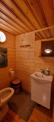 a wooden bathroom with a toilet and a sink at Tahko Hovimäenraitti 5A in Tahkovuori