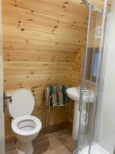 a bathroom with a toilet and a sink at Kingsford Pod in Wexford