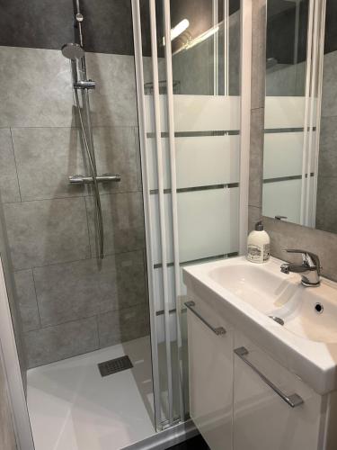une salle de bain avec douche et lavabo dans l'établissement Un petit coin de paradis, à Fort-Mahon-Plage