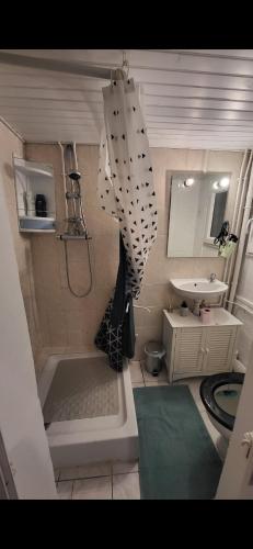 La petite salle de bains est pourvue d'une douche et d'un lavabo. dans l'établissement Petite maison, à Nogent-le-Rotrou