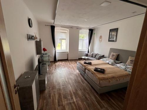 カルロヴィ・ヴァリにあるApartmentsCarlsbadのベッドとソファのあるリビングルーム