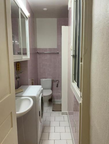 une salle de bain avec un lavabo blanc et des toilettes dans l'établissement appartement cosy - 2 chambres, situé en Centre Ville, à Nice