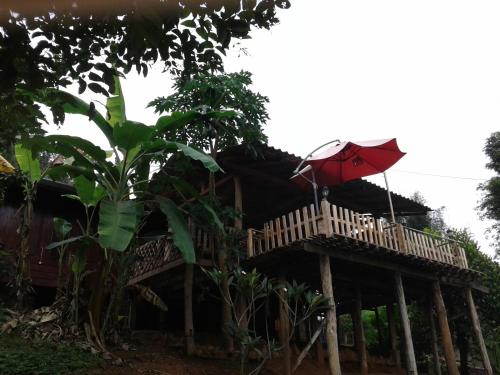 Gallery image of Forest Guesthouse in Samoeng