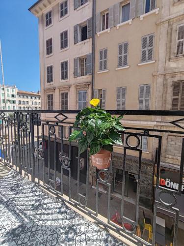 une plante dans un pot assise sur un balcon dans l'établissement T3 Grand Balcon au coeur du vieux port, à Marseille