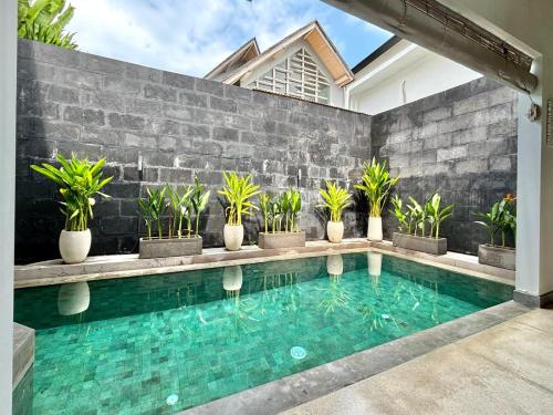ein Schwimmbad in einem Haus mit Pflanzen in der Unterkunft The Loft Villas Echo in Canggu