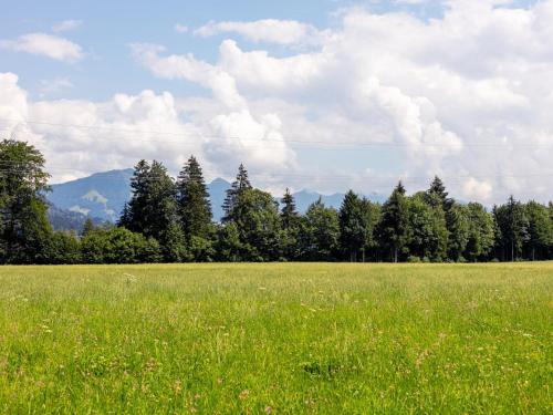 a field of green grass with trees in the background at Alpin Hideaway XL in Bruggberg