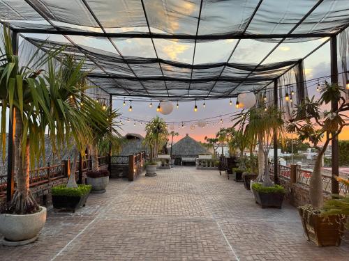 a greenhouse with potted plants and lights at Hotel Casa Carmona in Querétaro