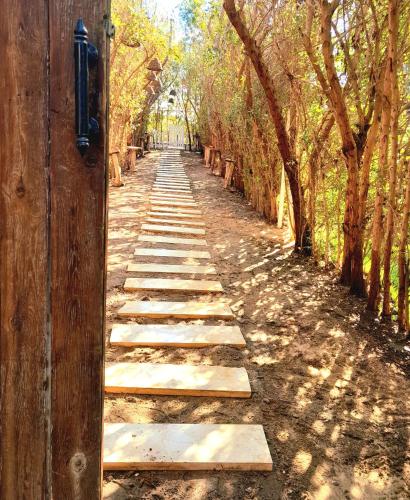 a wooden path with trees on each side at iBiZa Hostel in Beni Suef