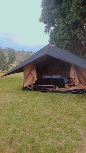 a black tent in a field of grass at Hospedaje Guatavita cabaña tippie in Guatavita