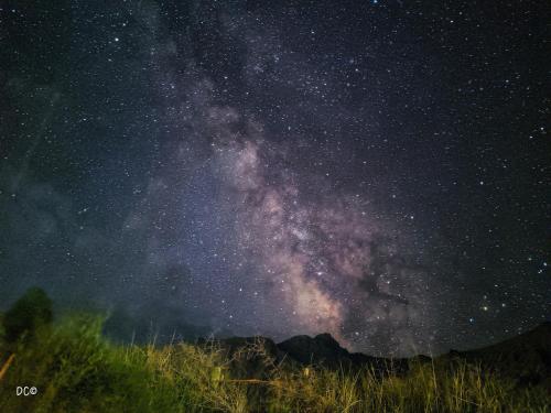 a starry night with the milky way at Nubra Holiday in Deskit