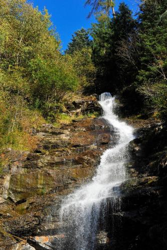 a waterfall on the side of a hill with trees at Apart Christine in Aschau