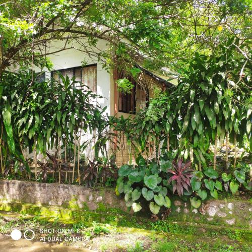 a house with a bunch of plants in front of it at Sun House Rental in Mambajao