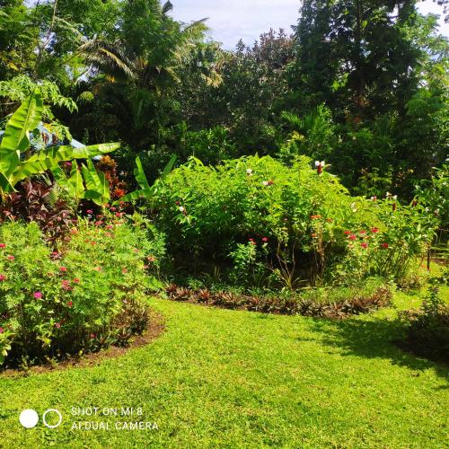 a garden with green grass and flowers and trees at Sun House Rental in Mambajao