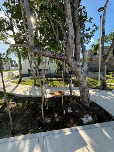 Jardin de l'établissement Casa Itzae