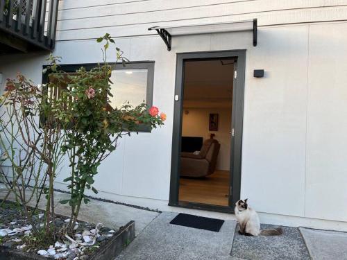 a cat sitting in front of a door at Peaceful and convenient in Auckland
