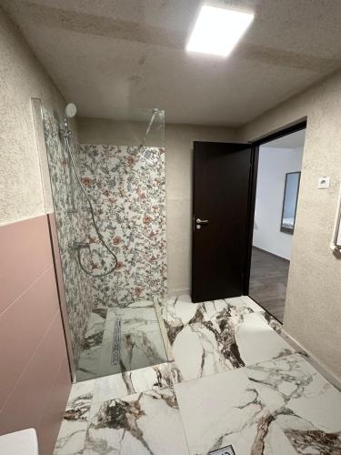 a room with a bathroom with a shower in it at Pensiunea CASA VISELOR in Sviniţa