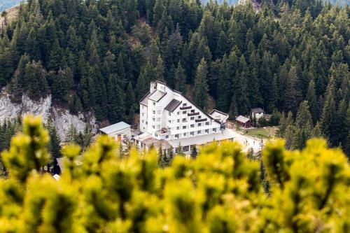 Gallery image of Hotel Alpin Rarău in Câmpulung Moldovenesc