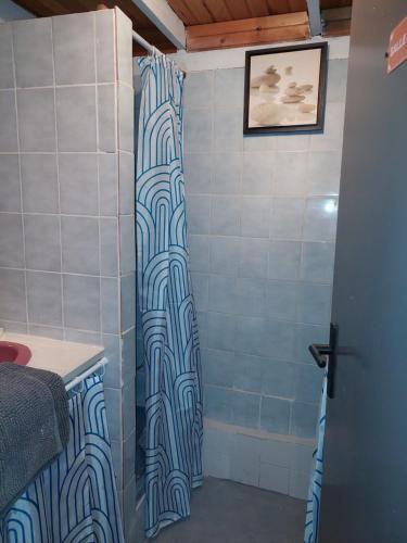 une douche avec un rideau de douche à motifs bleu et blanc dans l'établissement Appartement bien-être Sarlat, à Sarlat-la-Canéda