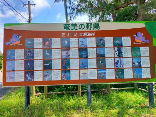 a sign for the sights and descriptions of reefs at 奄美ゲストハウス宇宿サンライズビーチ in Amami