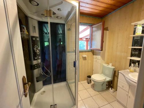une salle de bain avec douche et toilettes dans l'établissement Chalet les brimbelles, à Le Tholy