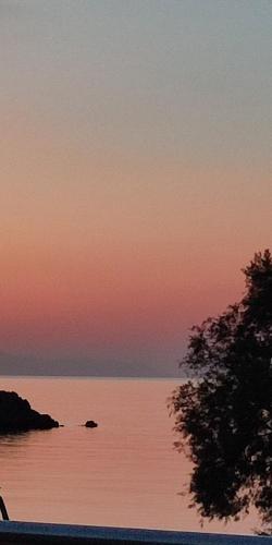 White Lotus seaside apartment