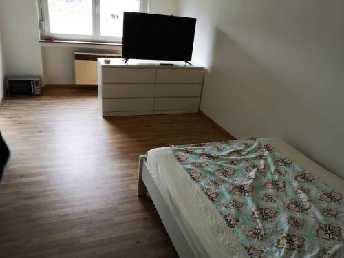 Μια τηλεόραση ή/και κέντρο ψυχαγωγίας στο Daimler near Business or Family Apartment fully furnished