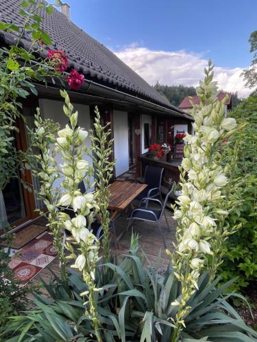 a garden with white flowers in front of a house at Apartments Wrolich in Latschach ober dem Faakersee
