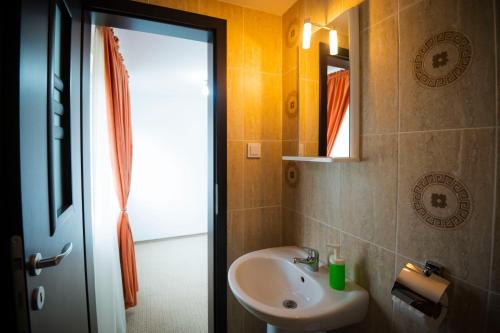 un bagno con lavandino e specchio di Roua Muntelui a Moieciu de Sus