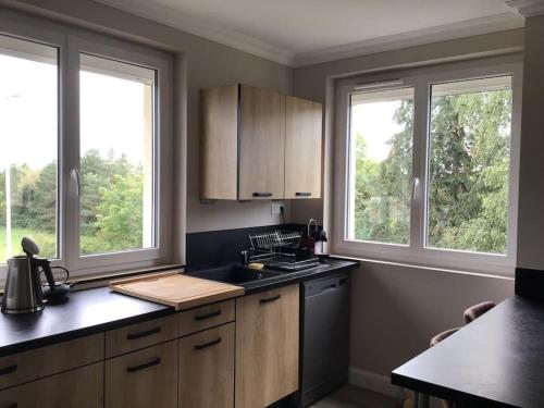 - une cuisine avec 2 fenêtres et un comptoir dans l'établissement Appartement T3 labellisé 3 étoiles, à Aurillac