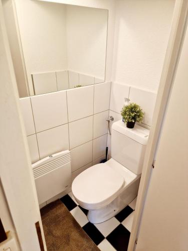 a bathroom with a white toilet and a mirror at Casa Maria City in Solothurn