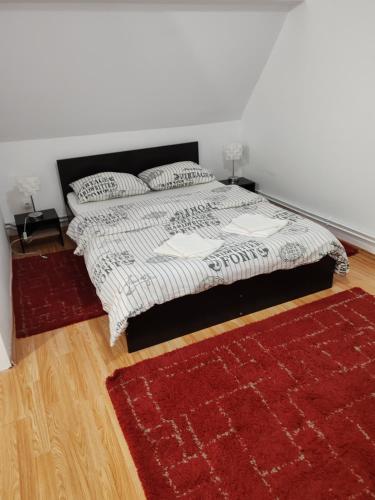 a bedroom with a bed and a red rug at Pensiunea Andreea in Mărgineni