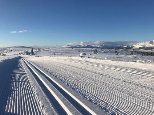 a snow covered road with tracks in a field at Modern cabin, great view, sunny, 2BA, 4BR in Hemsedal